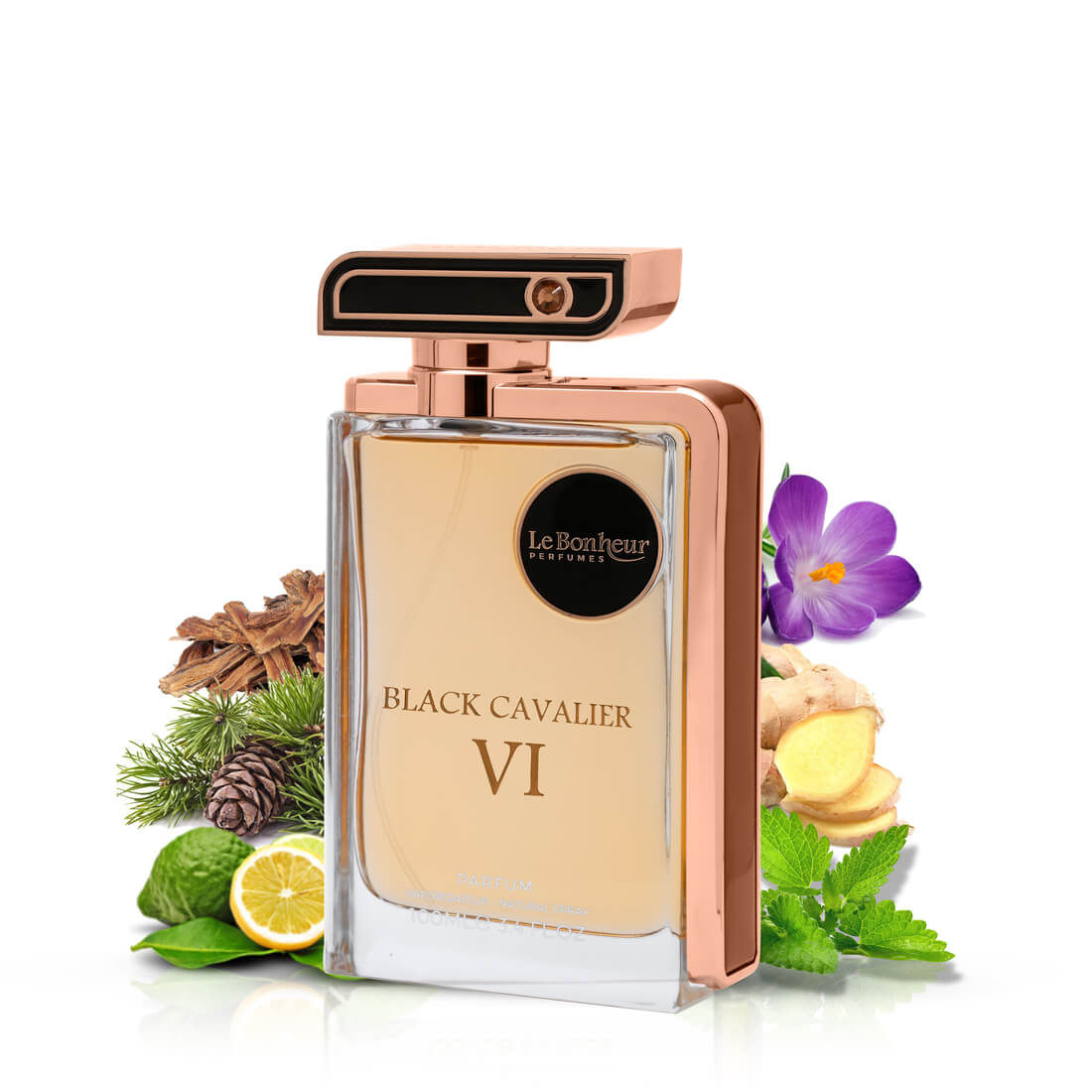 Black Cavalier VI - Le Bonheur 