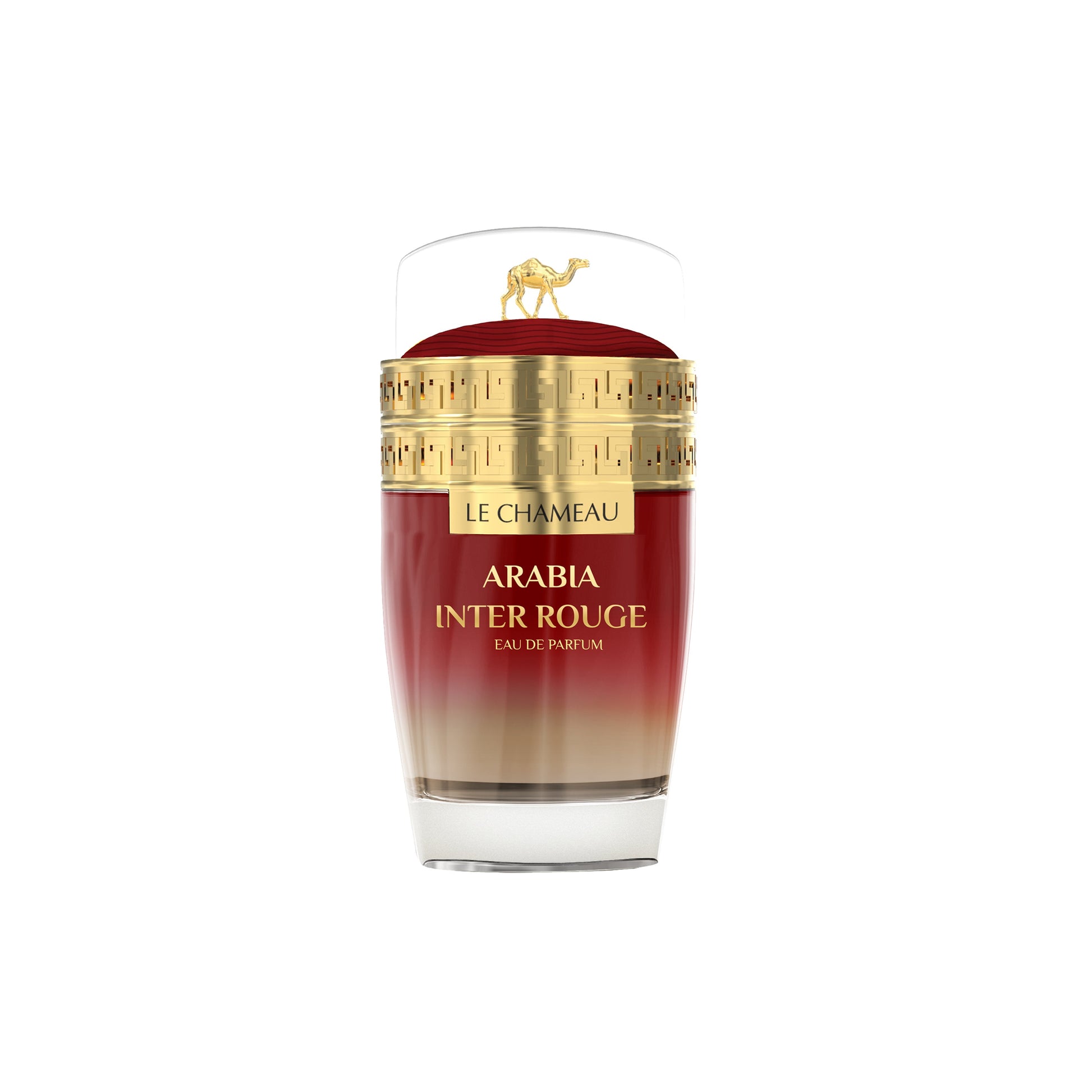 Arabia Inter Rouge - LE Chameau